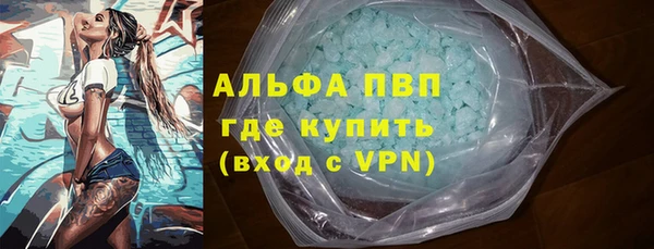 гашик Пестово