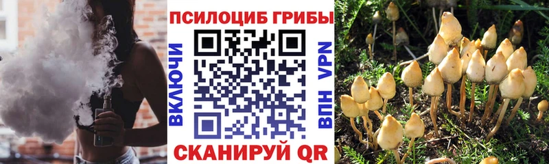 Псилоцибиновые грибы прущие грибы  Стрежевой 
